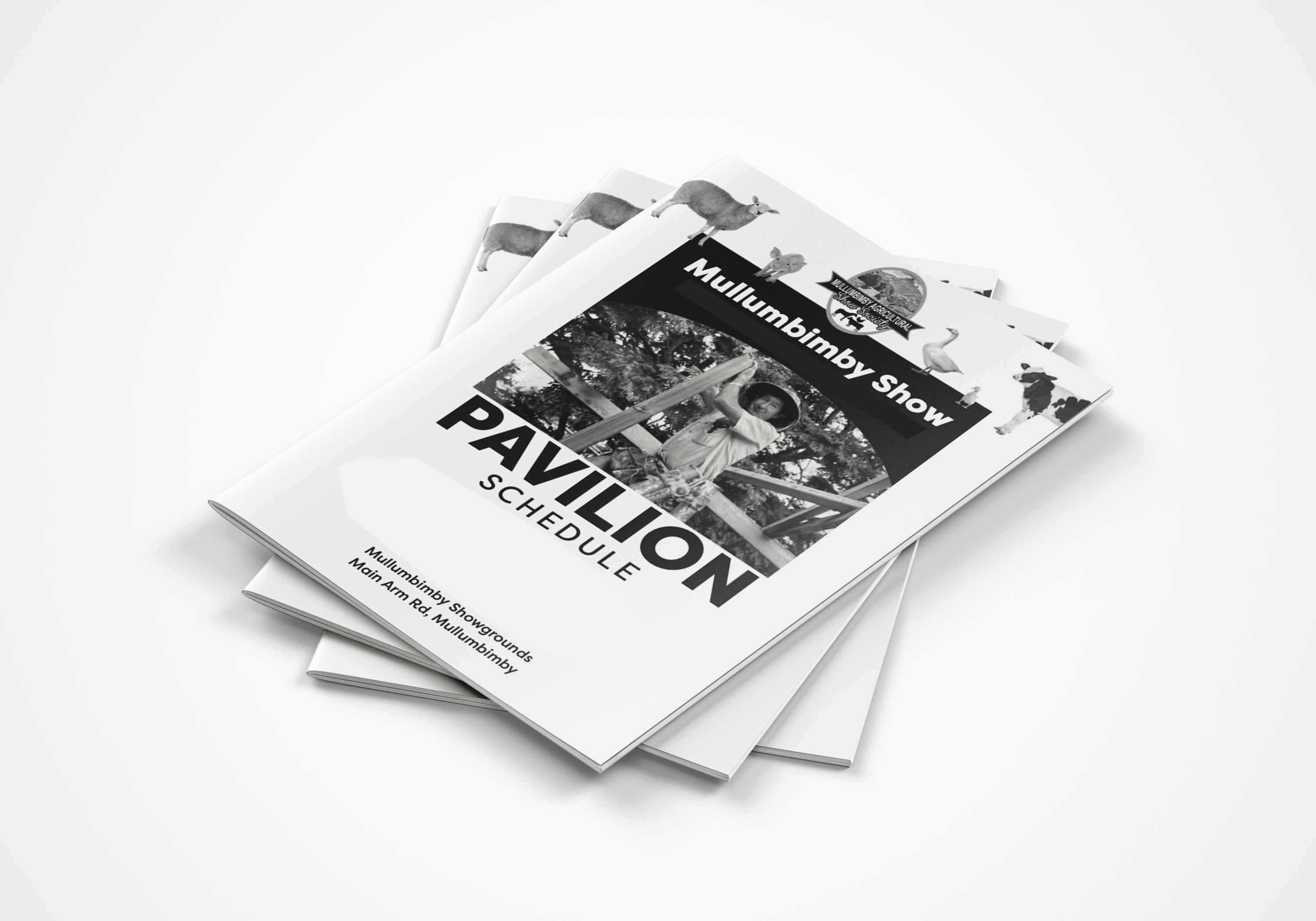 Pavilion Schedule